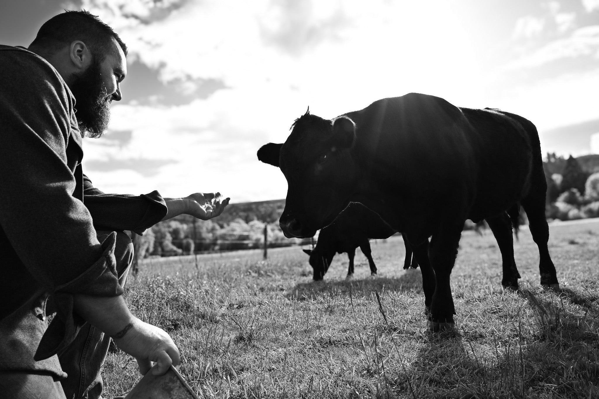 Every Ranch Has a Story. This Is Ours.