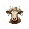 Soul Shine Ranch - Home